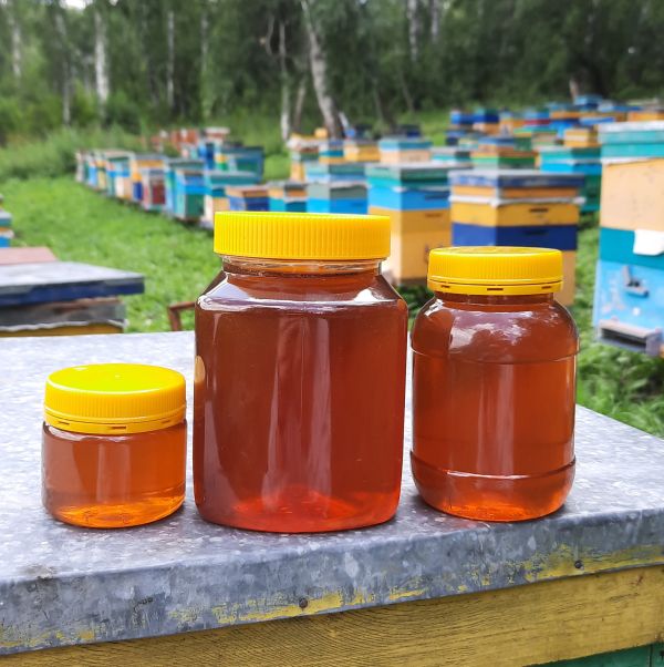 Разнотравье мёд (сбор 2022)