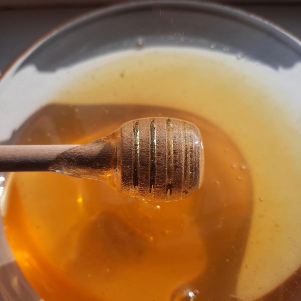 Горный мёд (сбор 2021)